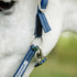 Horseware Fieldsafe Headcollar